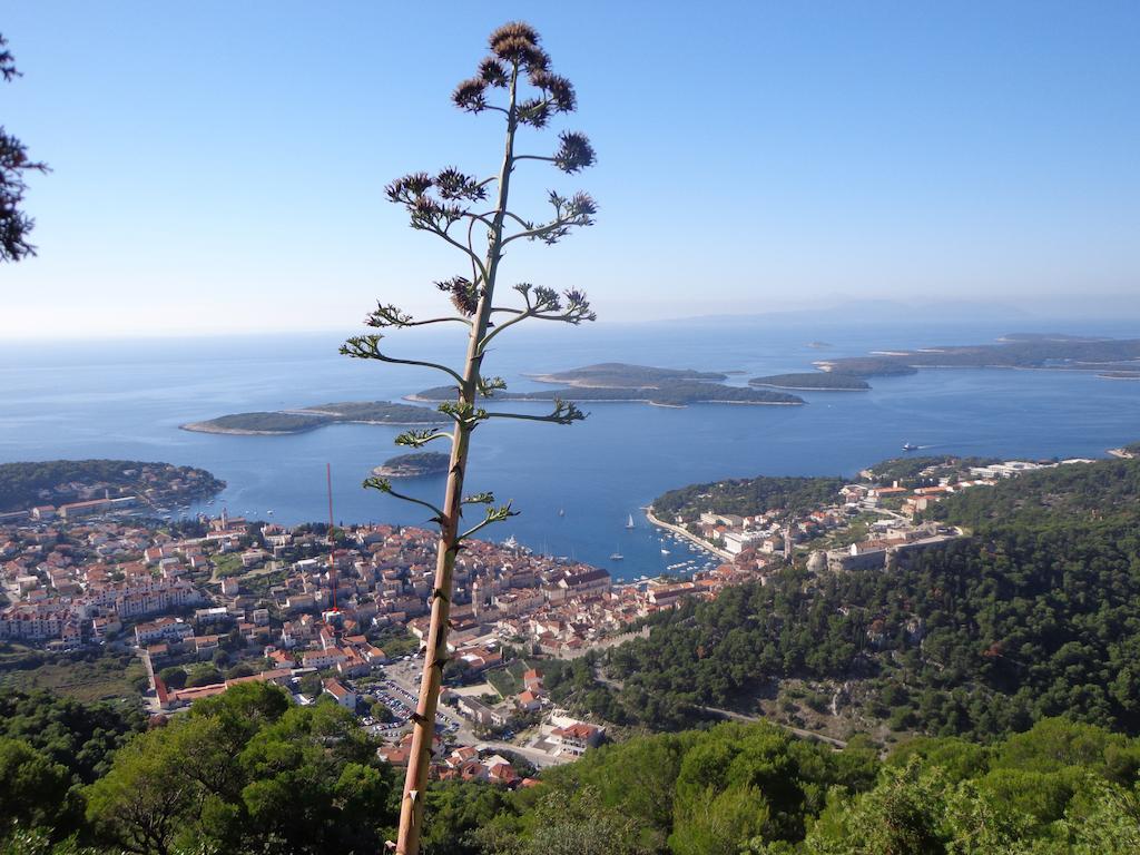 Ana Tudor Apartments Hvar Town Buitenkant foto