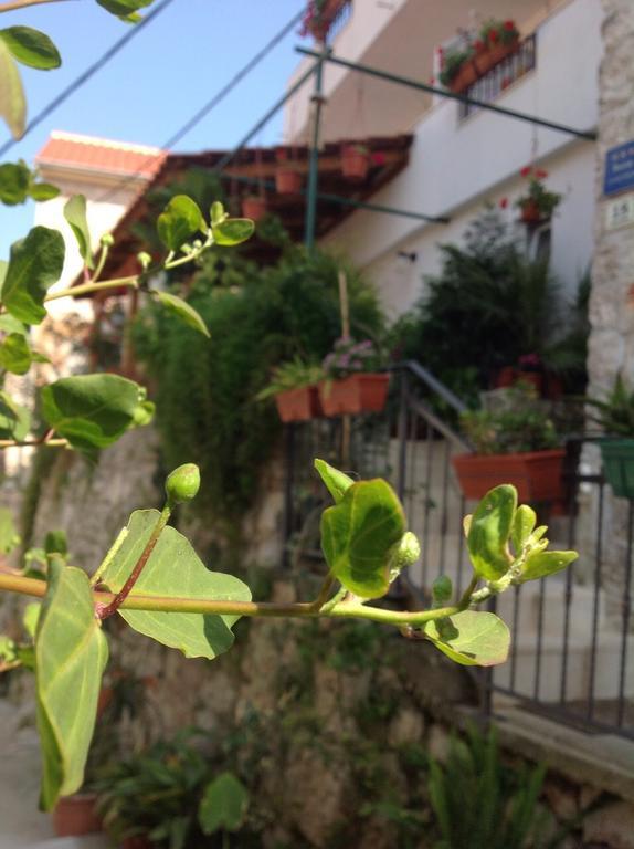 Ana Tudor Apartments Hvar Town Buitenkant foto